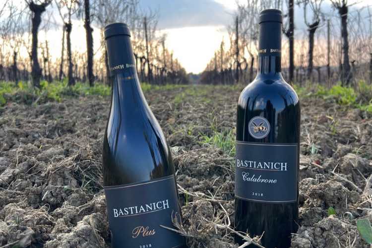 Azienda di vino di Bastianich 