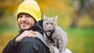 Le passeggiate col tuo gatto diventeranno più piacevoli. - Improntaunika.it