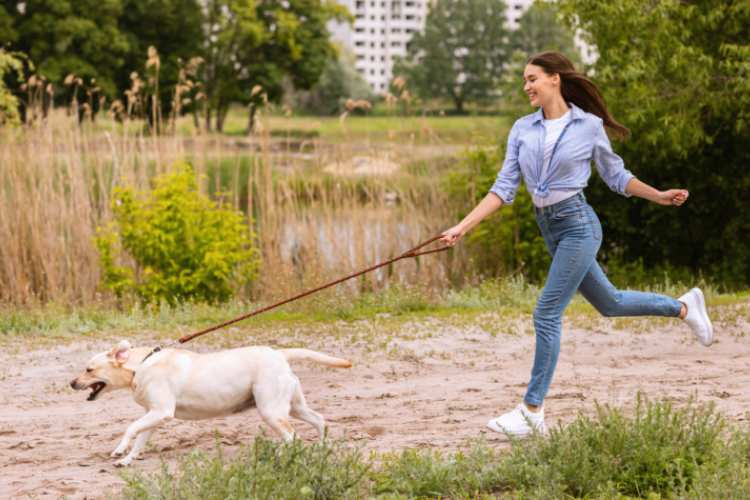 Quante volte uscire con il cane