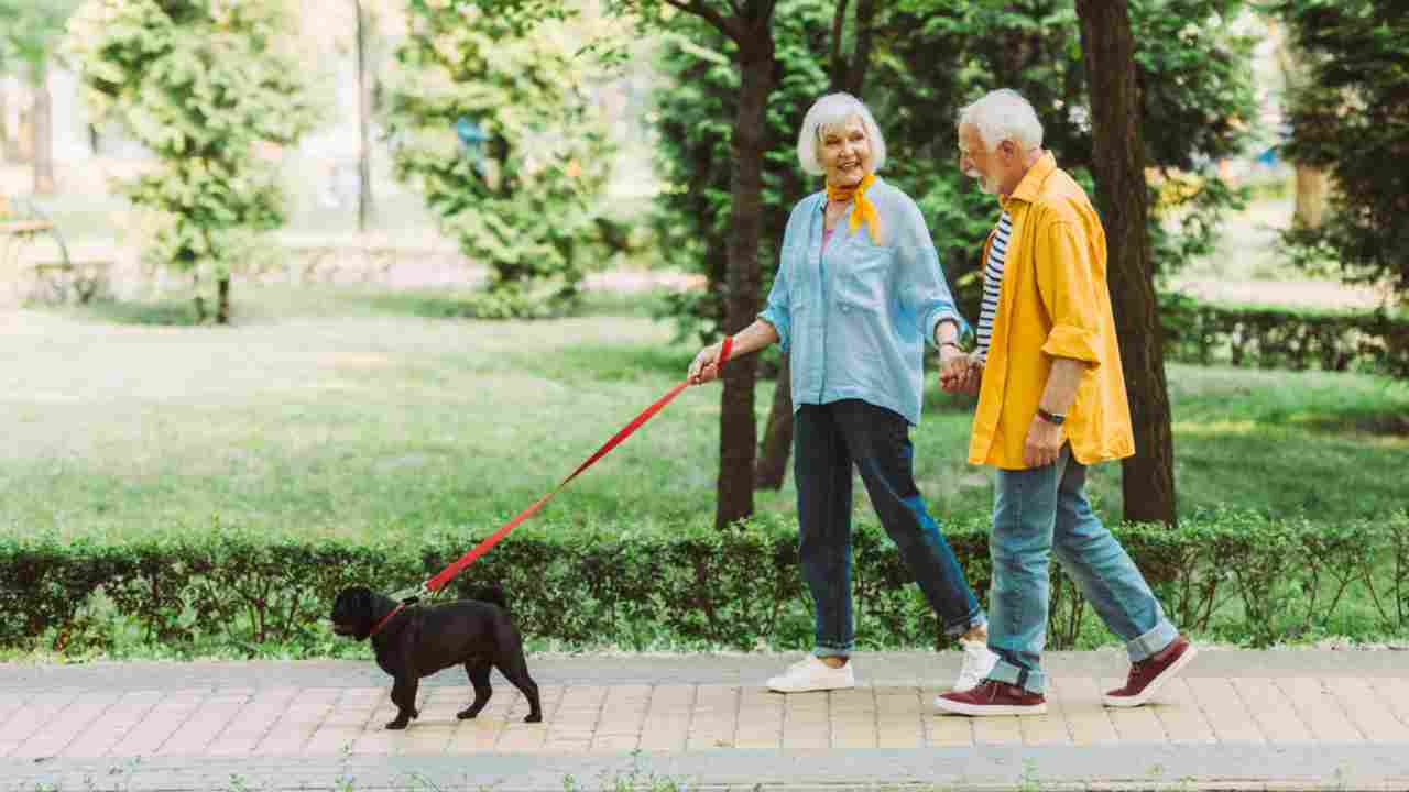 L'importanza della passeggiata