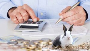 Sapete quanto costa avere un coniglietto?