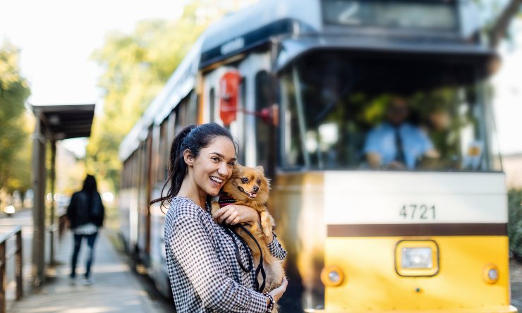 Viaggiare in treno con il cane - ImprontaUnika.it