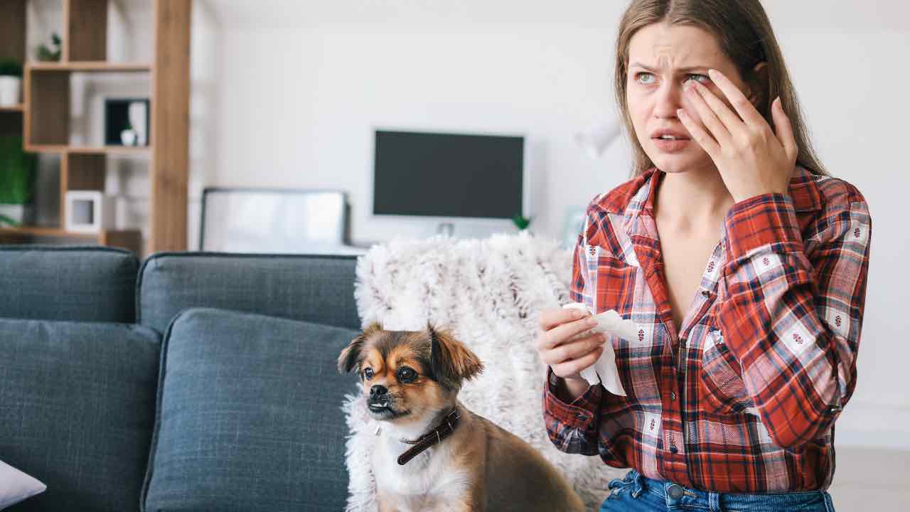 Piangere con il cane vicino