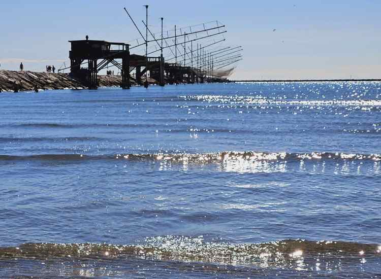 Spiaggia per cani in Veneto