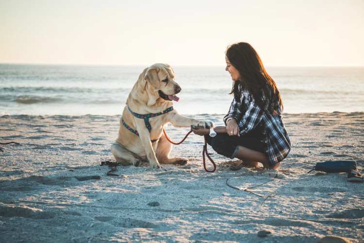 In spiaggia con il cane in Puglia